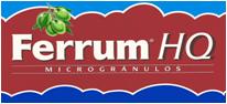 logo ferrum