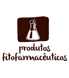 marreiros_b__19_1_