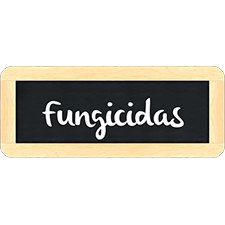 marreiros_b__fungicidas_1_